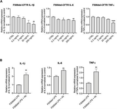 Insulin-Like Growth Factor Binding Protein (IGFBP-6) as a Novel Regulator of Inflammatory Response in Cystic Fibrosis Airway Cells